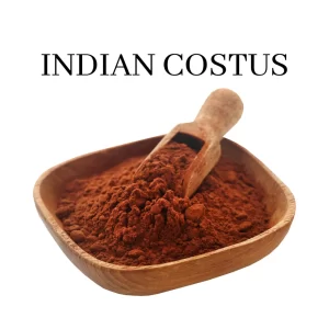 Qist Al Hindi Poeder Indiase Costus